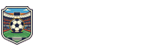 意甲直播